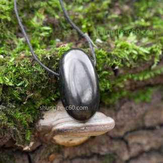 shungite pendant necklace natural black rock
