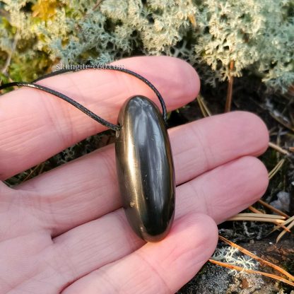 shungite pendant necklace pebble from Russia