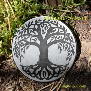 original shungite circle for emf tree of life celtic