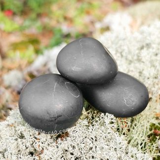 shungite tumbled stones