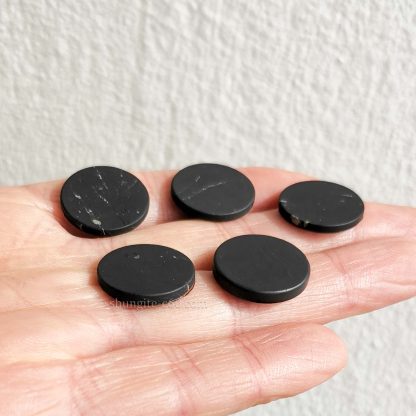 SET OF SHUNGITE matte plates ON HAND 5 PIECES