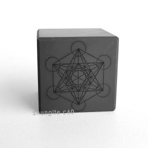 Shungite Metatron Cube Unpolished