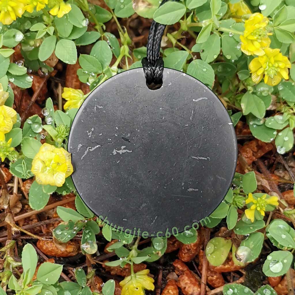 authentic shungite pendant circle